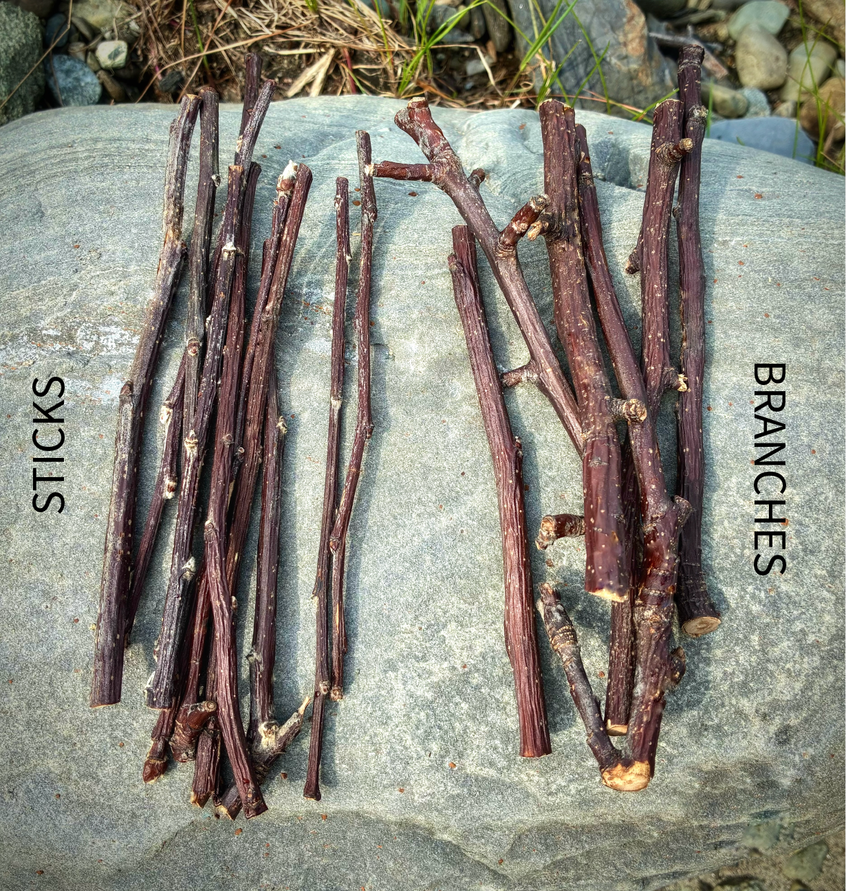 40 Sticks