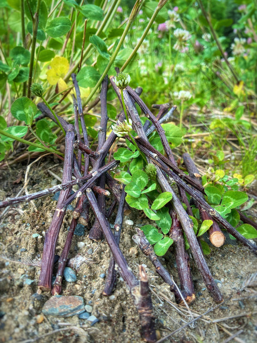 20 Sticks