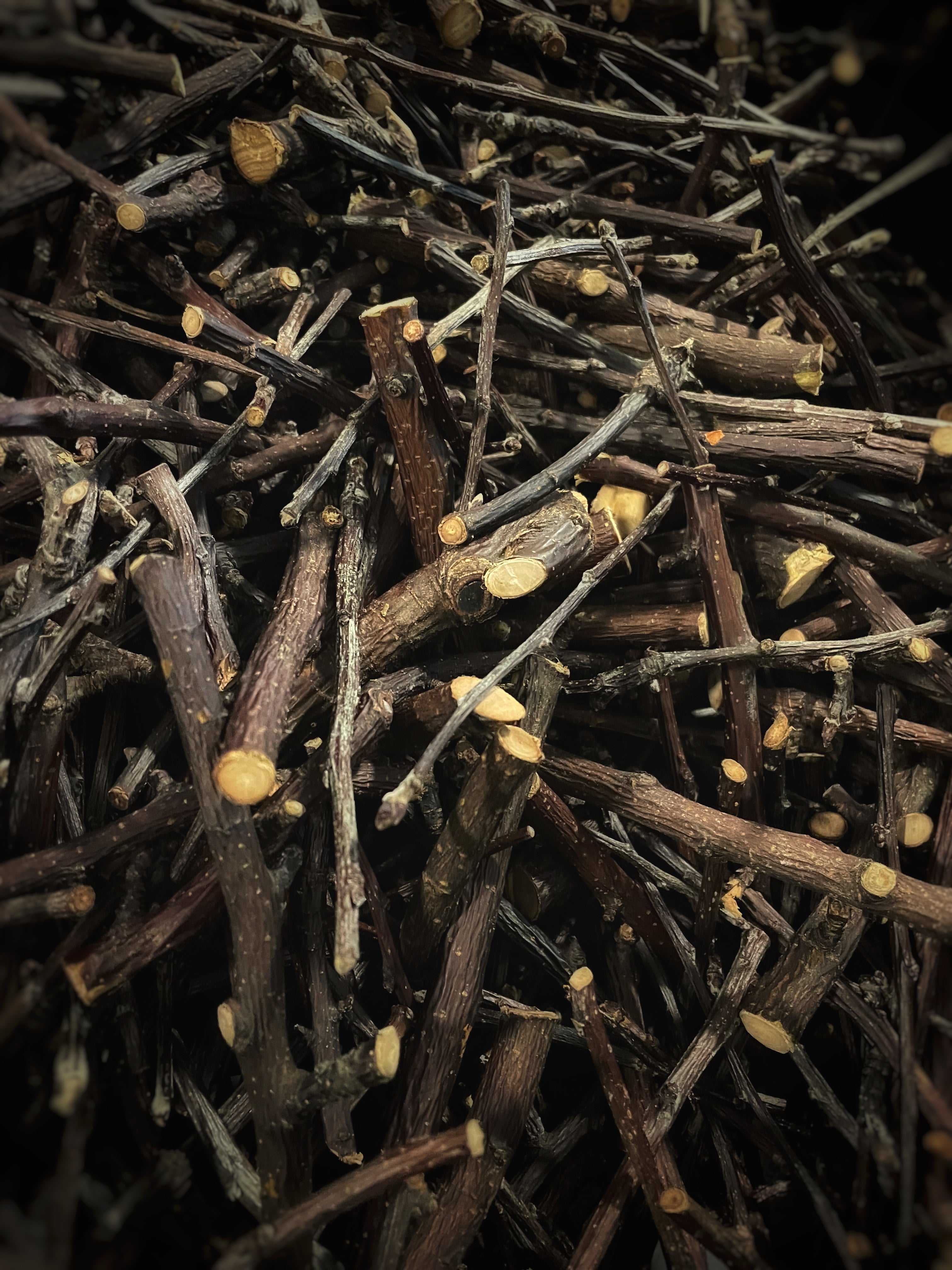 20 Branches